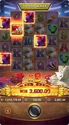 mc777 · Rooster Rbl